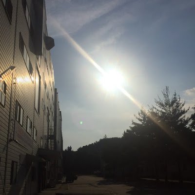 강하면 더 강하게 약하면 한없이 순하게 생각하고 말하고 행동하라 아니면 언젠가는 책임을 물을 것이다