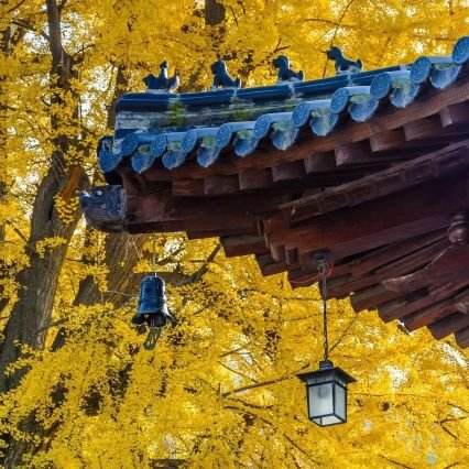 mamahuhu1982's profile picture. hey. everything was...