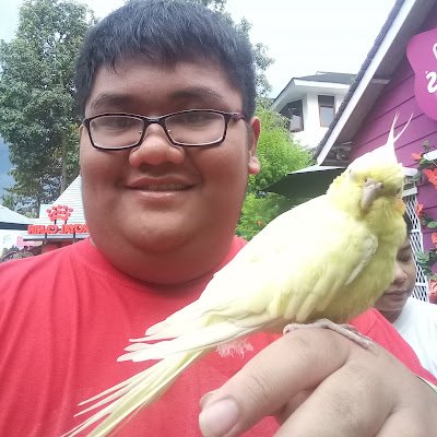 NicholasAdriya1's profile picture. Follow what you love and believe