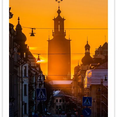 carloss80938436's profile picture. 