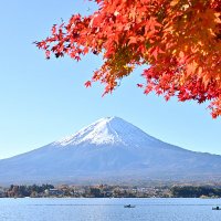ããŒã¯ã (@ke___han) 's Twitter Profile Photo ããŒã¯ã (@ke___han) 's Twitter Profile Photo