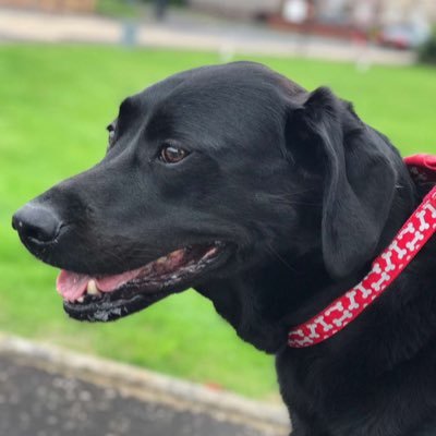 forever1888's profile picture. 