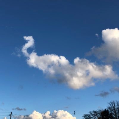 春.夏.秋.冬.だいちゃん.けんちゃん.かっちゃん.ジローくん.いっちゃん.転勤族.瀬谷.豊川.横須賀.恵比寿.旭川.西都.歯医者でパート.