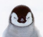 DoubleZhong's profile picture. its not for wealth, but for a life well live.....