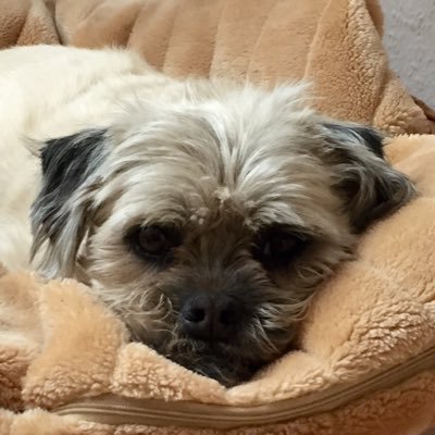 UteUs11's profile picture. 