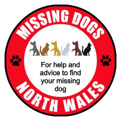 missingdogsnor1's profile picture. If your dog goes missing we are here to help and advise you through this very traumatic time. We will share your missing post across North Wales.