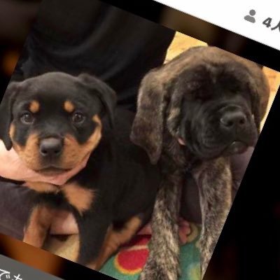 ぶあ のアバター