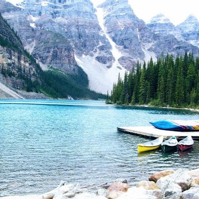 NeilRothwell2's profile picture. 