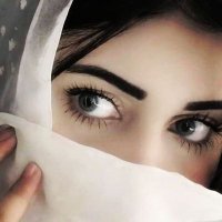 عبير العصيمي 🕊️ (@abeer_0124) Twitter profile photo