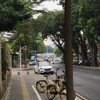 leo22166273's profile picture. 深圳龙岗30-173-61