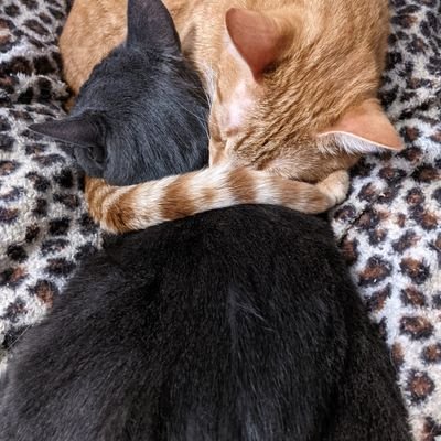 j0diele1gh's profile picture. 