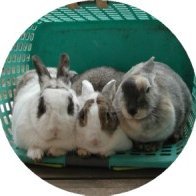 n_monzo's profile picture. MATLAB芸人（廃人)。本職はハードウェアエンジニア。個人的見解ということで。