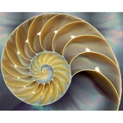 the_strANGELet's profile picture. #Artist, Poet, #Producer, #Musician, Entrepreneur, 
King among Apes. Martial Fanatic, Deep Lover, Lost
Could be a legend when you find me.
But only then.......