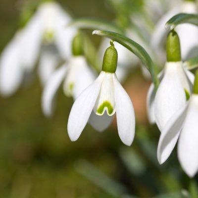 610utaha131's profile picture. 