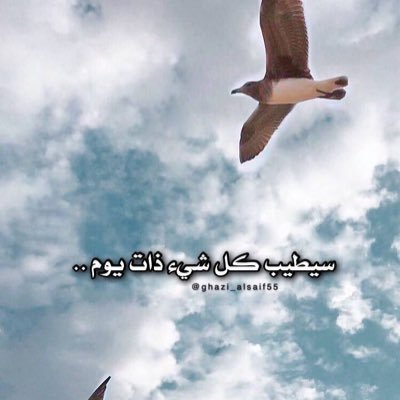 S6iTn's profile picture. •﮼يارب،ضم،قلبي،بفرحه،تبكيني . .🤲🏻♥'