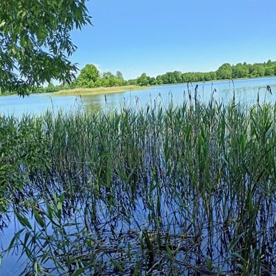 TAM19948's profile picture. #DimashNumber1 #TwitterDears