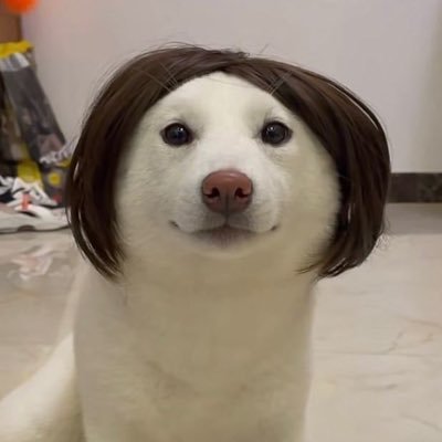 Beautifu11_boy's profile picture. 