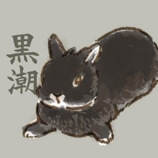 【うさぎ＆猫】 ネザーのくろしお♂（🎂2018.07.25) アメファジのジャン♂（🎂2020.05.23～🌈23.09.26） 🐈キジトラのハッチ♂去勢済（🎂2021.04.20頃) 【飼い主 すずりいぬ】 競馬（横山典弘） / SHOTA IMANAGA / 山下達郎 / 彩浜 / EOS R