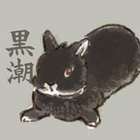 すずりいぬ🐰🐰🐰🐈(@usa_blacktide) 's Twitter Profile Photo