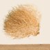 desert_grass_man (@sameltumbble) Twitter profile photo desert_grass_man (@sameltumbble) Twitter profile photo