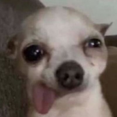 watdadogdoinnnn's profile picture. nakakaputangina