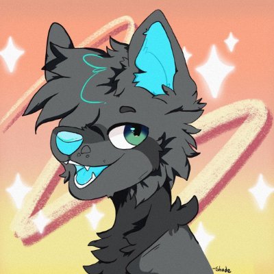 Shadeさんのプロフィール画像