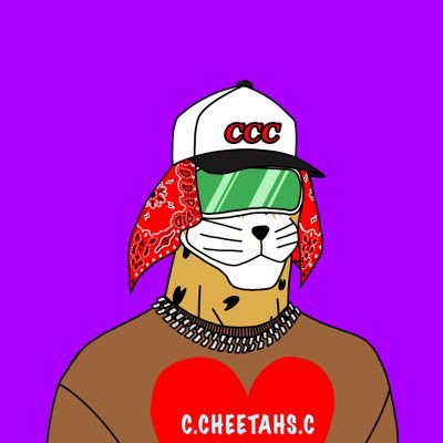 Cheat Cheetahs Clubさんのプロフィール画像