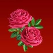 m_reza1400 (@m_reza1400) 's Twitter Profile
