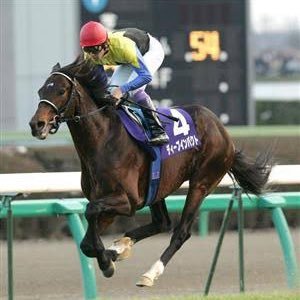 どうもグルオです！趣味が競馬で、予想をツイートさせて頂いております。趣味でやっているので、勿論無料です。フォロワー10,000人目指してるので、フォローRTして頂けると幸いです。よろしくお願いします。