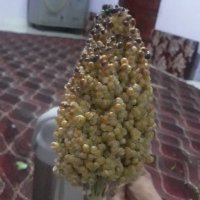 عادل علي احمد الدمني (@aldmnya) Twitter profile photo