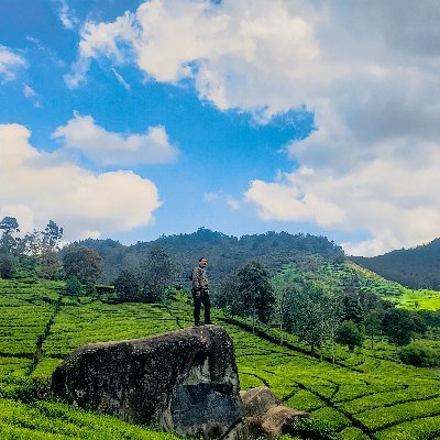 RY4N_AZIZ's profile picture. 