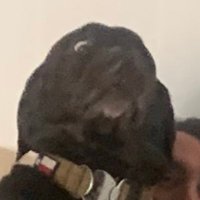 gy (@yulegetlit) 's Twitter Profile
