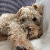 Ruth Guy (@rutheguy) 's Twitter Profile Photo