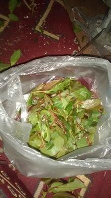 salhmhm48911751's profile picture. Qwertyuiop