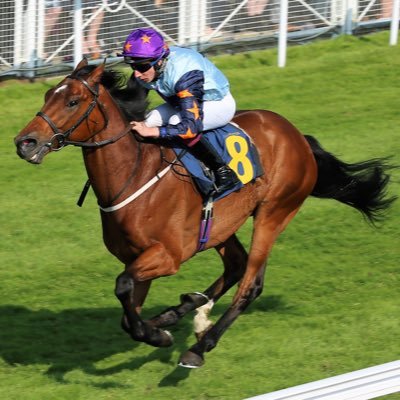 sportsJphotos's profile picture. A real passion for taking great photographs! Whether its Horse Racing, golf, snooker, family events, down at the local club.Thats the Challenge behind the Lens!