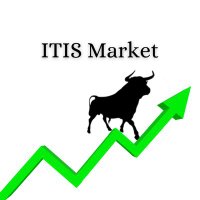 ITIS Market (@itis_market) Twitter profile photo