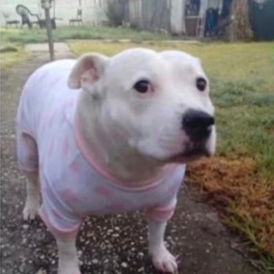 collinstreu's profile picture. Nice