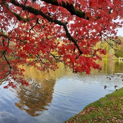 helenangharad's profile picture. Cymraes