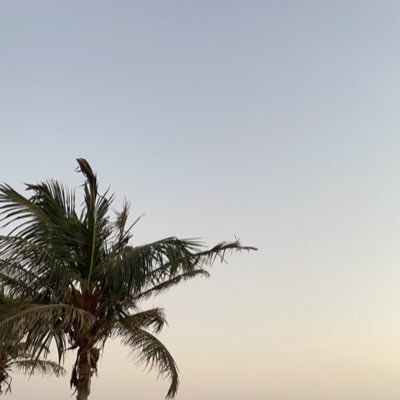 Thalifghlm's profile picture. تلميذة حياة  ، معلمة أجيال ، مشرفة تربوية ،  مدربة تعليم وحياة .