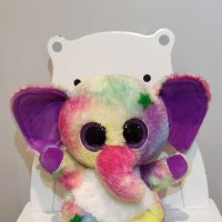 K'Nomis (@knomis2) 's Twitter Profile
