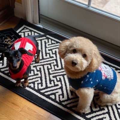 PGerken05's profile picture. Yes