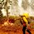 Wildfire Incidents