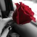 Esraa Alkandari (@ess_alkandari) Twitter profile photo Esraa Alkandari (@ess_alkandari) Twitter profile photo