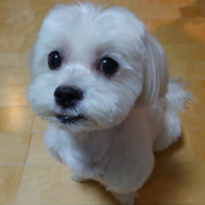 yoddykazetsukai's profile picture. Webライター。セラピスト。