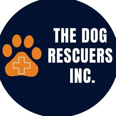 dogrescuersinc Profile Picture