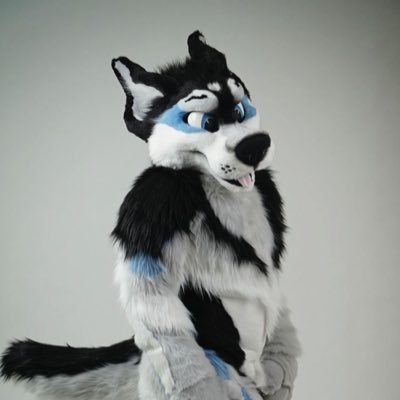 Just a fuzzy husky, who enjoys gear, rubber, and bondage. A @WaggeryCos husky.  18+