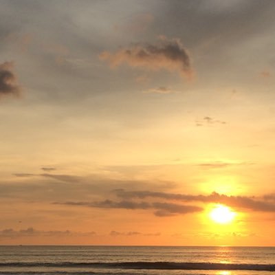 flamingoXOXOX's profile picture. 🌋my safe place🌤