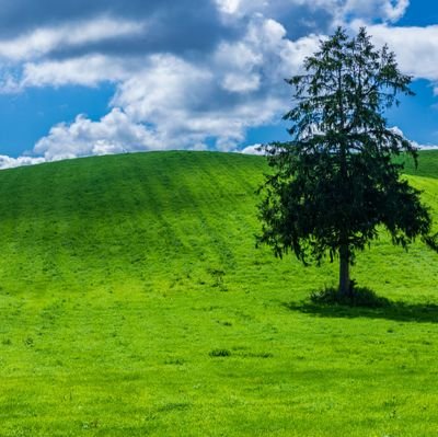 r ＞ g 　自分用　一口メモ中心
知に大宝あり📖
日々学びの機会に感謝します🍀