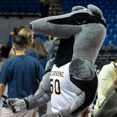 The OFFICIAL Mascot of UC Irvine. I love all things UC Irvine (especially @UCIAthletics), Irvine and the OC! Zot! Zot! Zot!