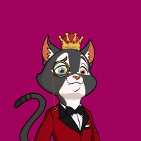 FancyCatz (@fancycatznft) 's Twitter Profile